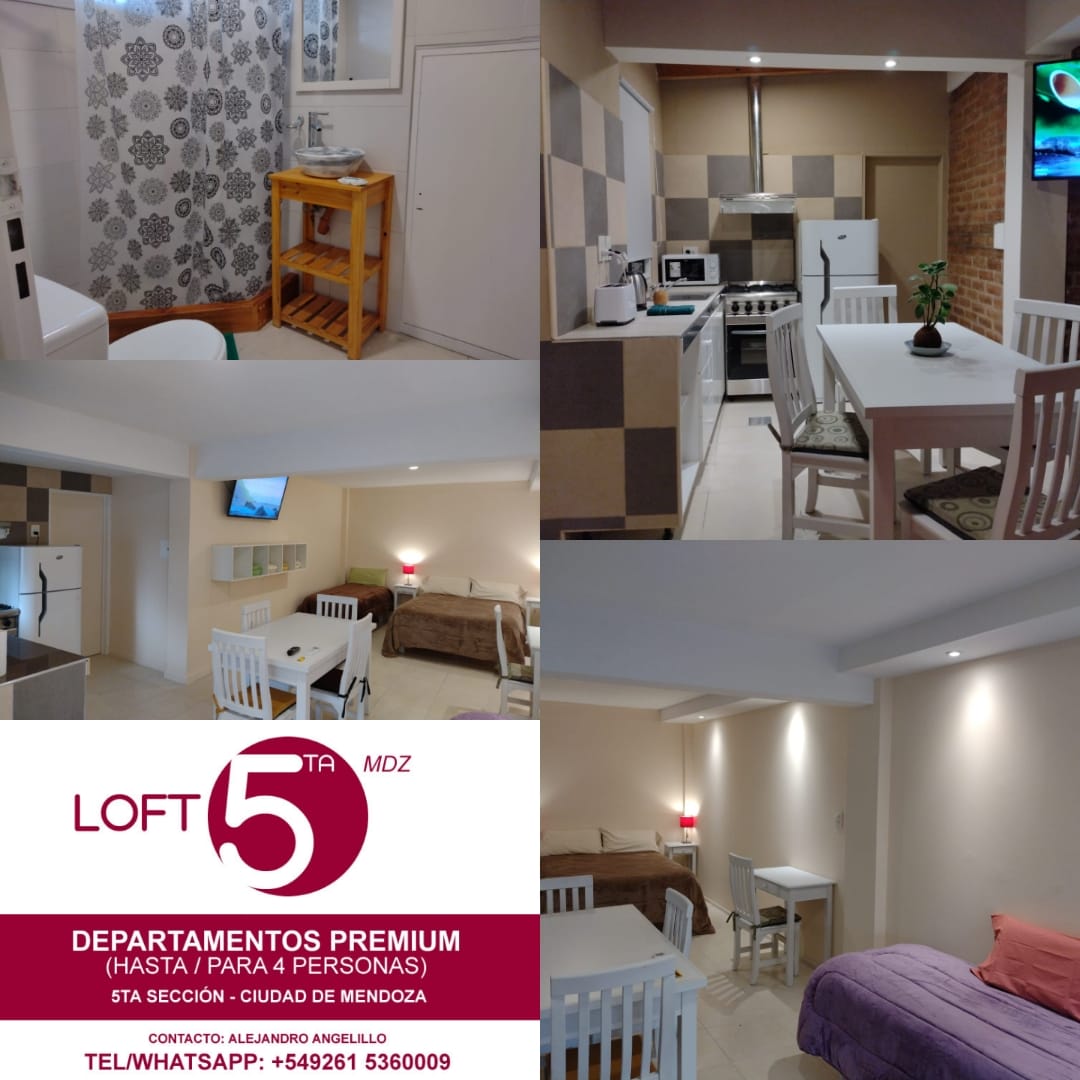 Alquiler Tipo Loft, quinta sección capital 